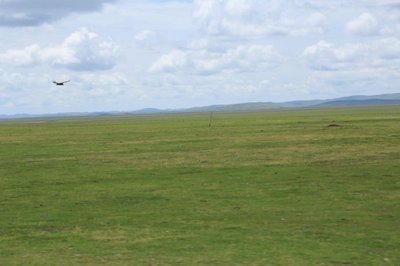 若尔盖大草原：全国三大草原牧区之一，亚洲最好天然牧场之一，中