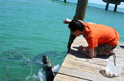 【佛罗里达】享受逗大鱼的乐趣 享受工作的乐趣