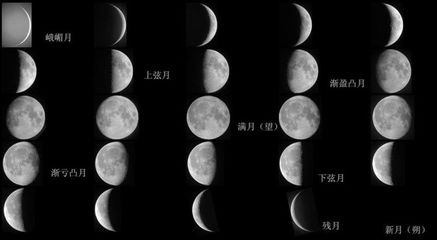 月相组图 月相变化图