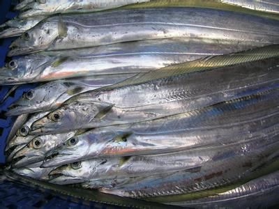 带鱼的营养成分 带鱼怎么吃最有营养