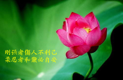 禅心佛语 佛语禅心 感悟人生的经典句子