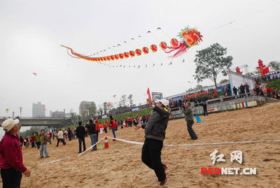 话说盘鹰 十四 【航模飞机 真鹰和盘鹰风筝的不同】 国际盘鹰风筝论坛