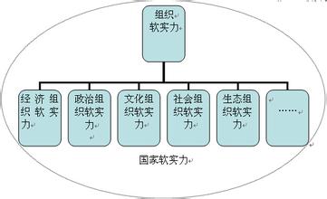  软实力和硬实力的关系 “大关系”而非“搞关系”，决定组织的软实力