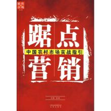  中国营销实战小说：《挑战》（2）
