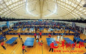  广州市地质调查院 广州市乒乓球经营型场所调查报告（1）