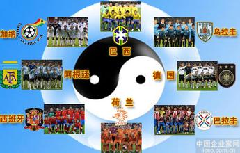  鹰的重生对企业的启示 世界杯对中国企业的启示