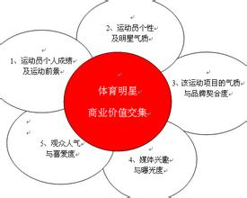 体育明星的价值 体育明星商业价值评估六要点