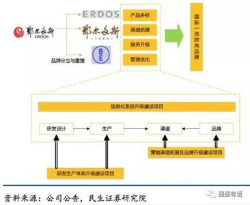  多样化经营战略的模式 服装品牌经营战略的模式