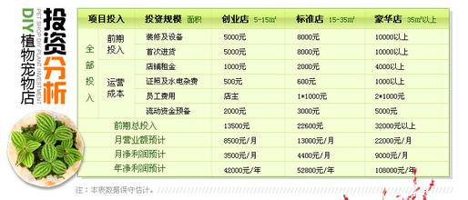 宠物店如何经营 经营DIY植物宠物店成本投入