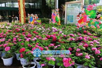  北京都市芳群花卉市场 花卉餐饮，都市健康新时尚