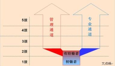  马士斌：企业怎样进行组织生涯管理操作