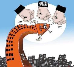  任志强：政府在用短期政策调控长期楼市