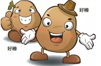  创业新奇：农家妇女QQ上卖土豆年赚20万