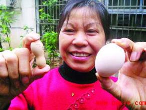  梦幻西游抓巡守挣15亿 米翠平：鸡蛋变身形似花生 农妇10年挣2亿