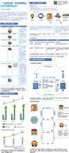  潘石屹2016的身价 从被迫下海到身价上亿 SOHO潘石屹的地产路径