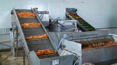 海藻酸钠涂膜保鲜黄瓜 开果蔬涂膜保鲜加工厂年利25万