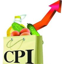  潜力巨大巿场 CPI攀升下投资选择 农业产业潜力巨大