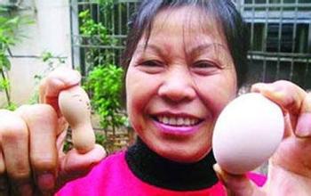  一颗鸡蛋有多少蛋白质 农妇靠一颗鸡蛋 10年变出2亿