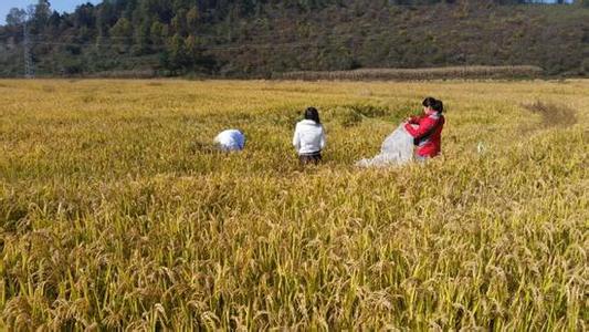  台湾农民创业园 一个农民让3万变1500万的创业故事