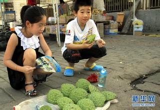  卡特挖掘机回转支承 十年练摊掘回了第一桶金