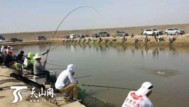  休闲渔业示范基地 小渔竿钓“火”南京休闲渔业