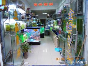  开家婴儿用品店 开家水族用品店