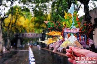  书香浸润校园手抄报 “梧桐雨”浸润大学校园