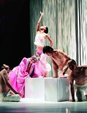  舞者金星专访：艺术家的最高境界是无性别