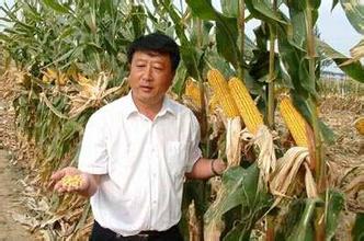  李登海：杂交玉米之父成就10亿身价（一）