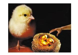 借鸡生蛋商战 “借鸡生蛋”借力生财的方法