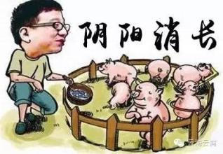  丁磊四川重申养猪计划不变:不趁猪流感找台阶
