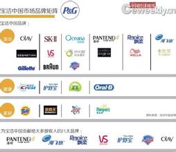  中国品牌之路 宝洁―品牌大师的中国之路