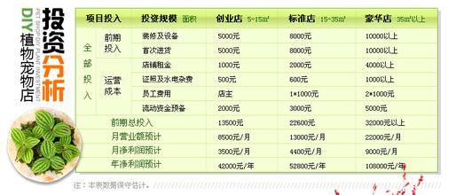  宠物店swot分析 完全分析阳光巴士的植物宠物店！