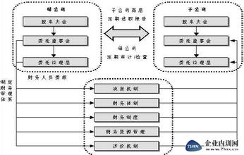  公安局财务体制模式 集团集权式财务管理体制的模式