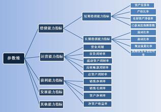  决策的依据是什么 利用引申财务指标提供决策依据的方法初探