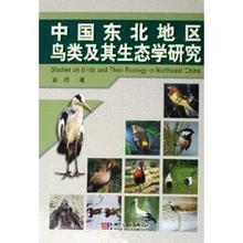  中国项目管理知识体系 第1章 项目与项目管理（XVIII）项目管理技术与知识体系