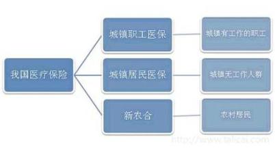  企业组织里的第三类人：智人（一）