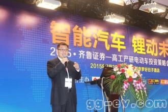 新能源投资:光环与泡沫论坛实录