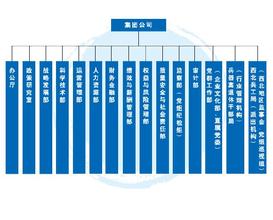  创维集团财务有限公司 构建集团公司“大财务”