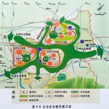  《中国大趋势》支柱之三：规划森林，让树木自由生长之从废铁到上