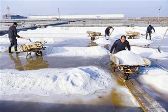  中国养殖创业网 生态养殖是农村创业的下一个金库