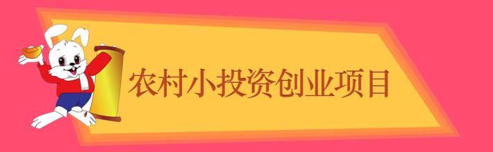  适合农村创业投资项目 5万元，什么项目适合农村投资？