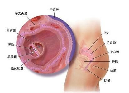  嘴巴动耳朵响 嘴巴和耳朵孕育业务商机