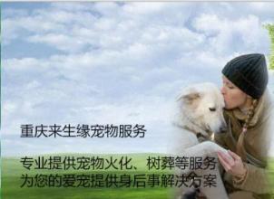  宁波瑜一宠物服务公司 如何创办一个宠物服务公司