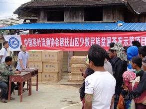  2016驻村帮扶工作总结 应对2016卖茶难，中国茶产业出现“数字化帮扶活动”