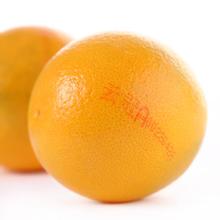  褚橙是怎么做营销的 褚橙的滋味
