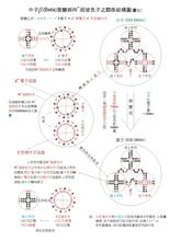  无中微子双贝塔衰变 中子衰变的奥秘