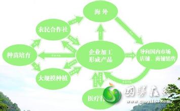  陕西省产业化系统 打造全产业链　陕西中药产业化提速
