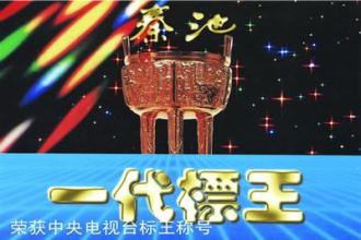 2017年央视招标 “冷清”收场 央视招标数字游戏终结?