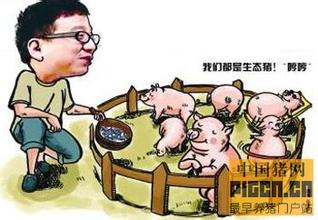  丁磊宣布网易养猪计划 网易CEO丁磊的养猪营销学